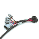 ReFlex Main Injector Harness - V8-1