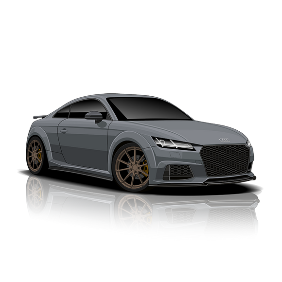 11MODE 'Plug & Play' Exhaust Controller for Audi TTS (8S)