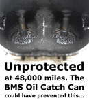 Burger 10972647566 image 4 of 6: BMS Oil Catch Can Kit for VW/Audi MQB 2.0T
