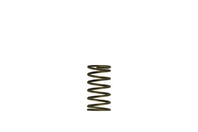 Turbosmart  GenV Spring (3psi) Inner () Suit WG60