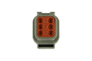Turbosmart  eGate 6 Way Sensor Socket Kit suits DTM Connector-2