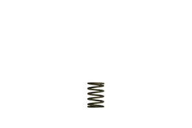 Turbosmart  GenV Spring (3psi) Inner (Black) Suit WG38/40