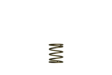 Turbosmart  GenV Spring (3psi) Inner (Orange) Suit WG45/50