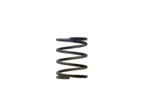 Turbosmart  Gen4 IWG WG38/40/45/50L 7PSI MIDDLE SPRING - BROWN/PURPLE
