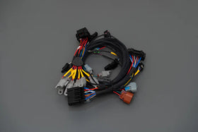 TMS Tensility Motorsports - B58 S58 Plug & Play TMS ReFlex™ Race Harness BMW™ (No Splicing) - 0